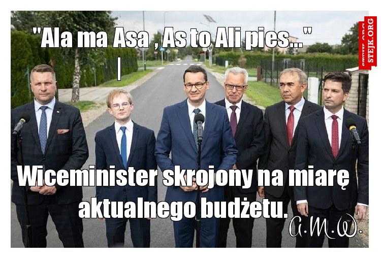 Wiceminister skrojony na miarę aktualnego budżetu.