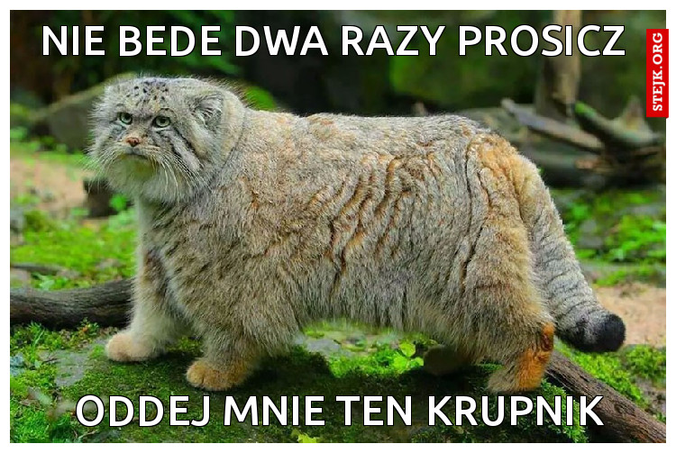 Nie bede dwa razy prosicz 