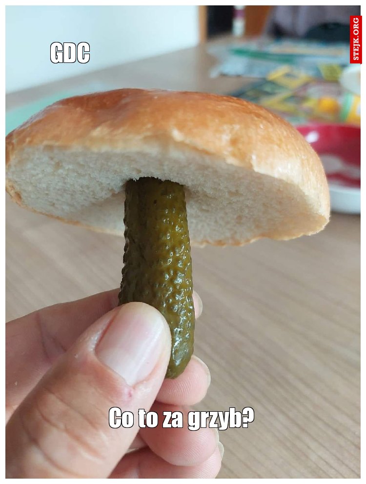 Co to za grzyb?