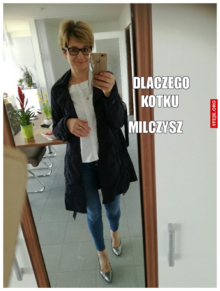 Dlaczego kotku 