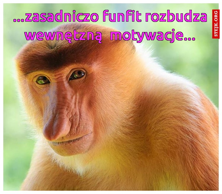zasadniczo funfit aktywuje  wewnętrzną motywacje