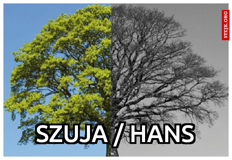 Szuja / hans