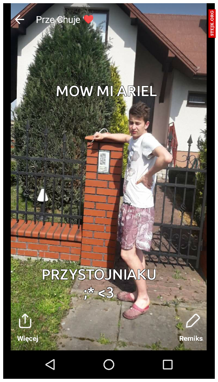 Mow mi ariel