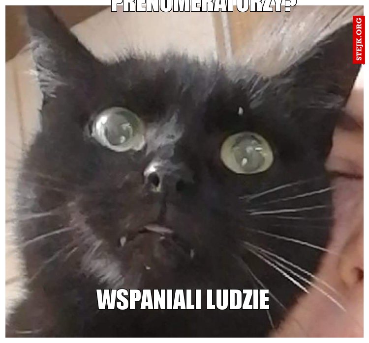 Prenumeratorzy?