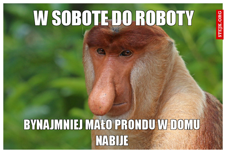 W sobote do roboty