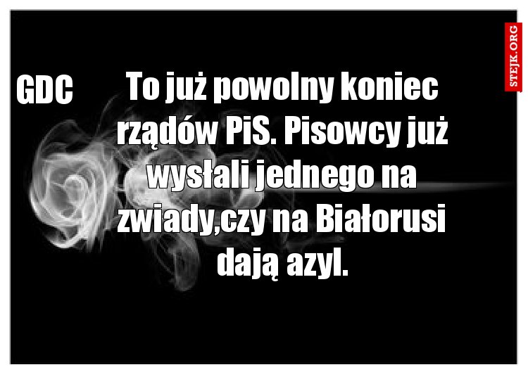 To już powolny koniec rządów PiS. Pisowcy już wysłali jednego na zwiady,czy na Białorusi dają azyl.