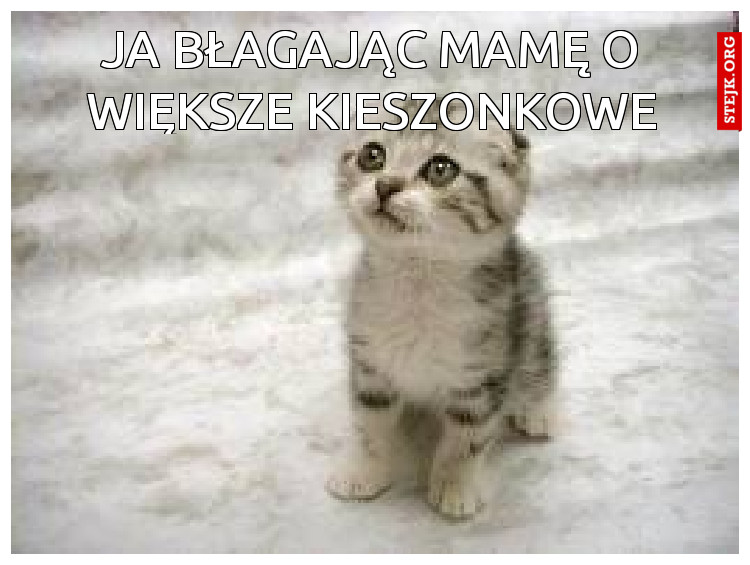 Ja błagając mamę o większe kieszonkowe