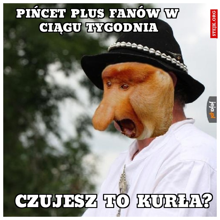 pińcet plus fanów w ciągu tygodnia