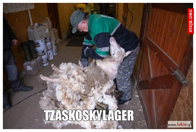 TZASKOSKYLAGER
