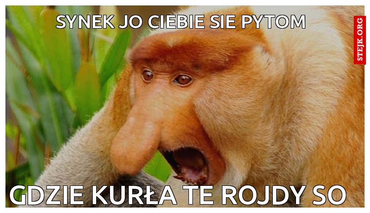 Synek jo Ciebie sie pytom