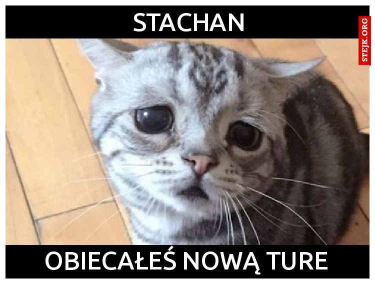 STACHAN