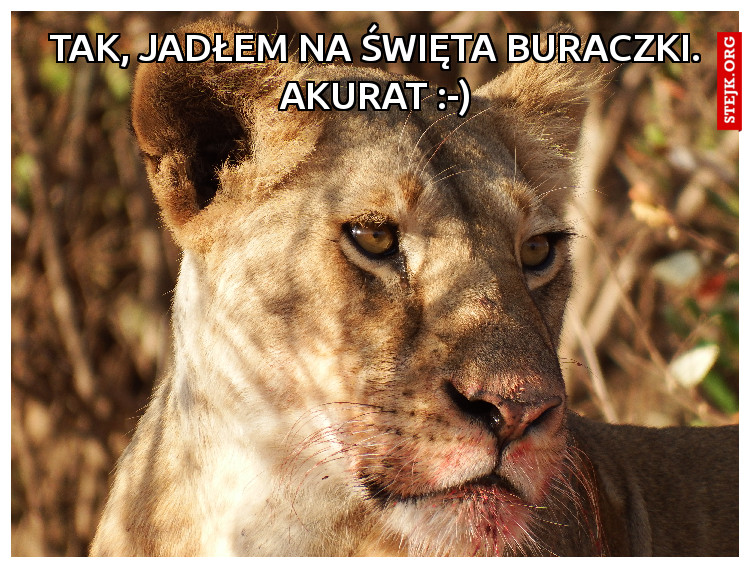 Tak, jadłem na święta buraczki. Akurat :-)
