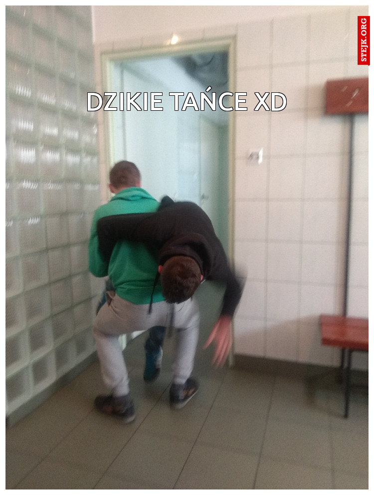 DZIKIE TAŃCE XD