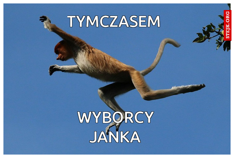 TYMCZASEM