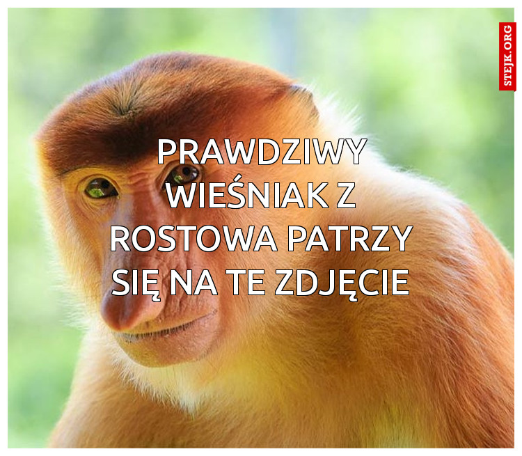 Prawdziwy wieśniak z rostowa patrzy się na te zdjęcie