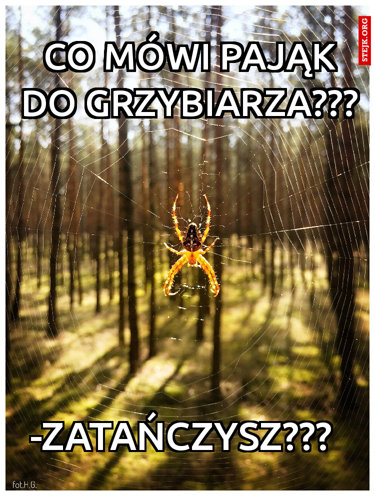 -ZATAŃCZYSZ???