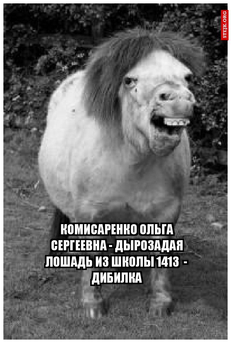 Письма мастера дзен