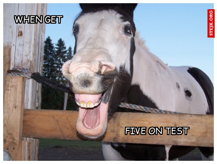 Five on test