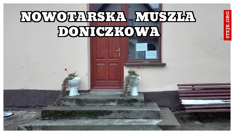 nowotarska  muszla  doniczkowa 