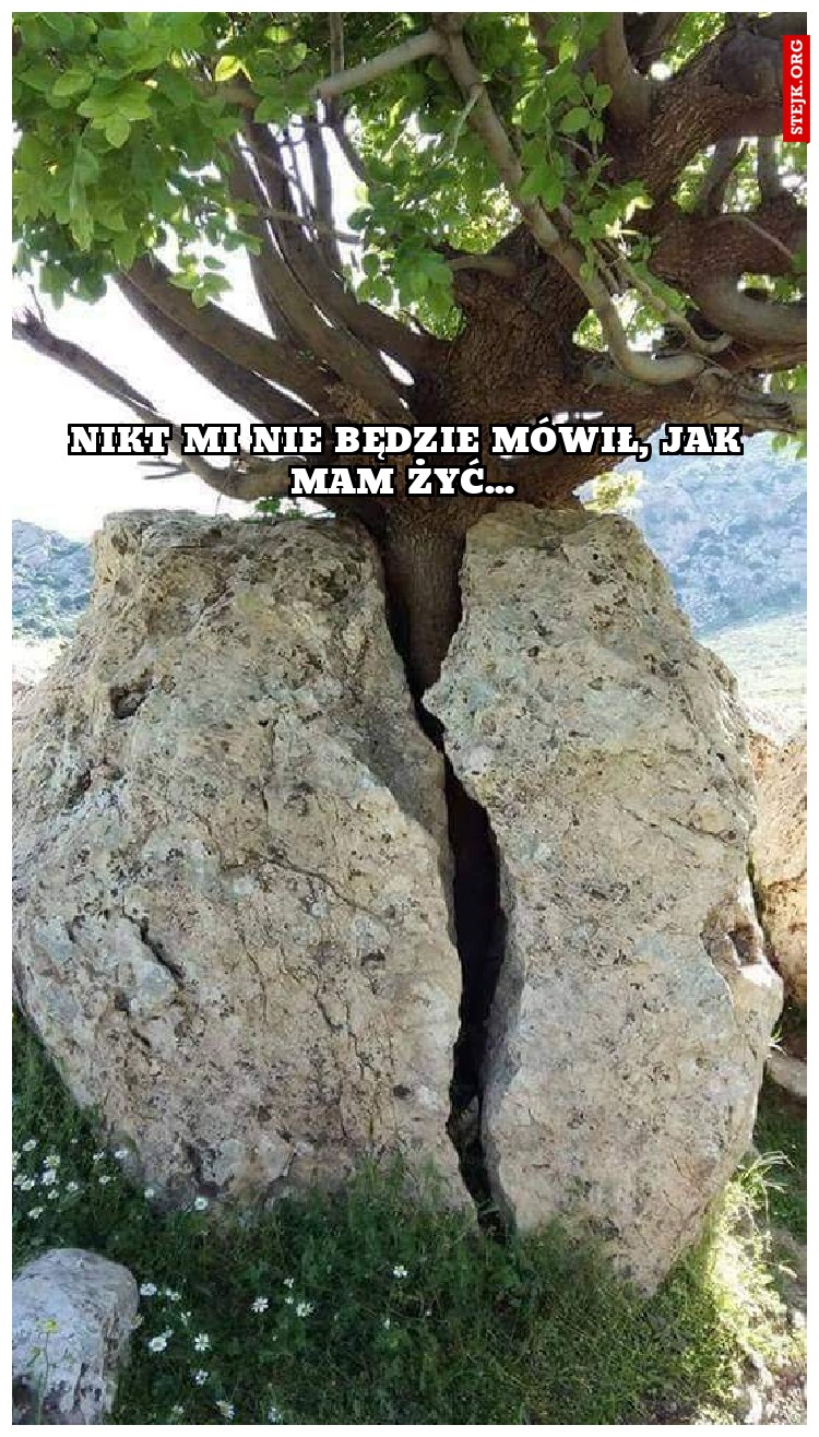 Nikt mi nie będzie mówił, jak mam żyć... 