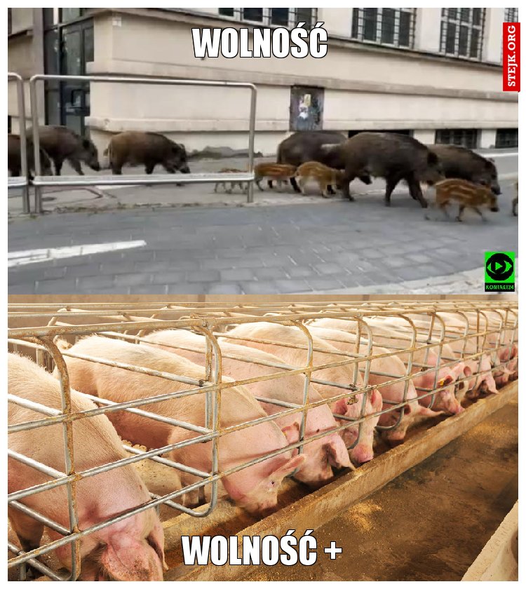 WOLNOŚĆ