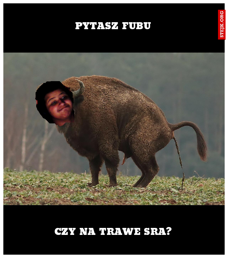 PYTASZ FUBU
