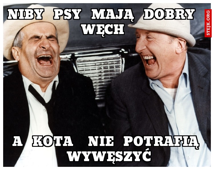 NIBY  PSY  MAJĄ  DOBRY WĘCH