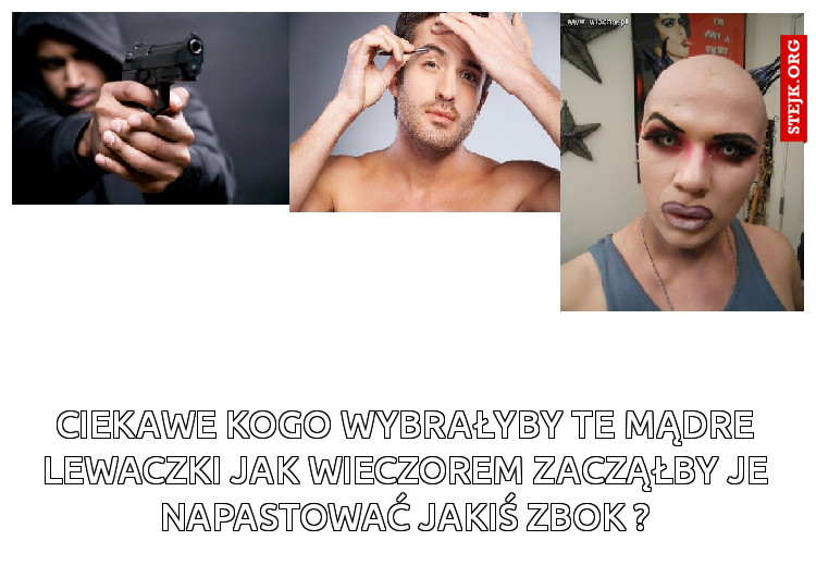 Ciekawe kogo wybrałyby te mądre lewaczki jak wieczorem zacząłby je napastować jakiś zbok ?