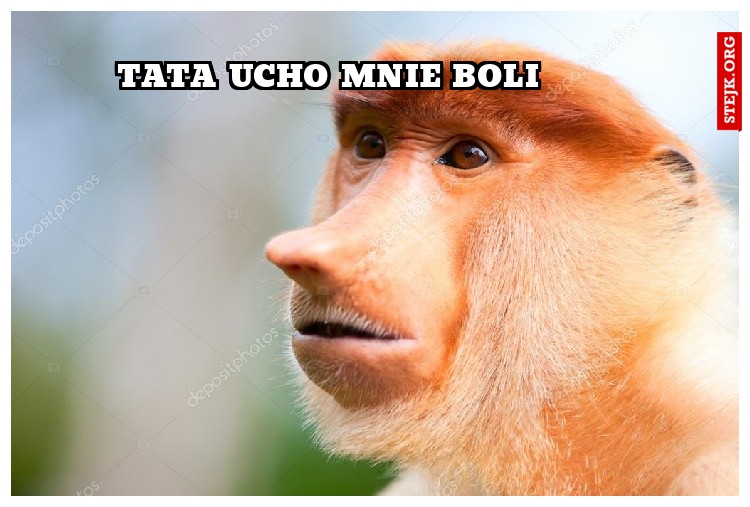 tata ucho mnie boli