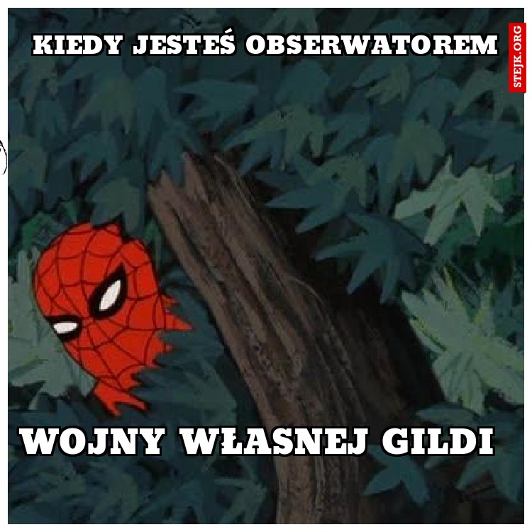 Swojej wojny gildi 