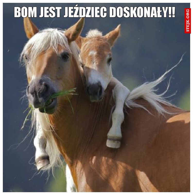 Bom jest jeździec doskonały!! 