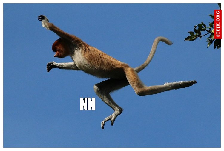 nn