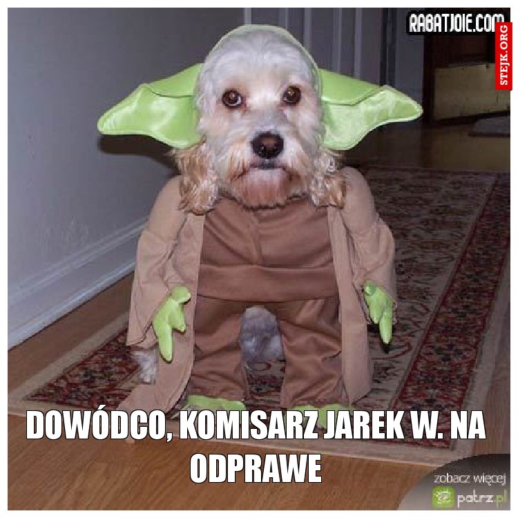 Dowódco! Drugi się buntuje! Nie chcą przyjść na nockę