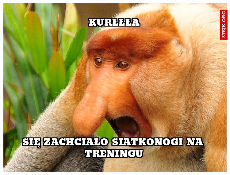 Kurłłła