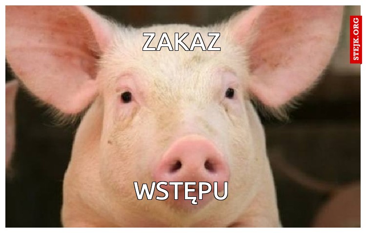 Zakaz