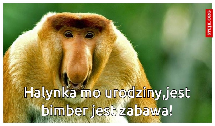 Halynka mo urodziny,jest bimber jest zabawa!