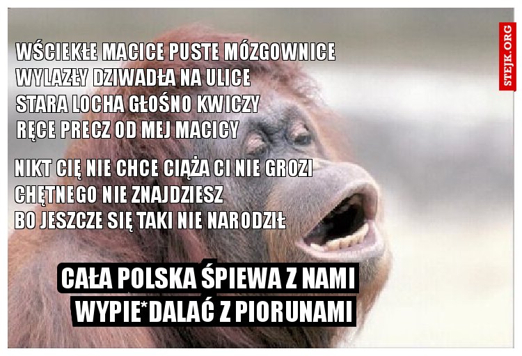 WŚCIEKŁE MACICE PUSTE MÓZGOWNICE                                      WYLAZŁY DZIWADŁA NA ULICE                                                       STARA LOCHA GŁOŚNO KWICZY                                                       RĘCE PRECZ OD MEJ MACICY   