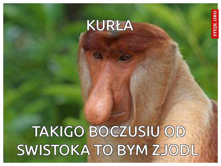Takigo boczusiu od swistoka to bym zjodl 