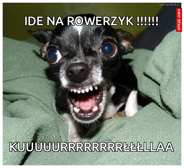ide na rowerzyk !!!!!!