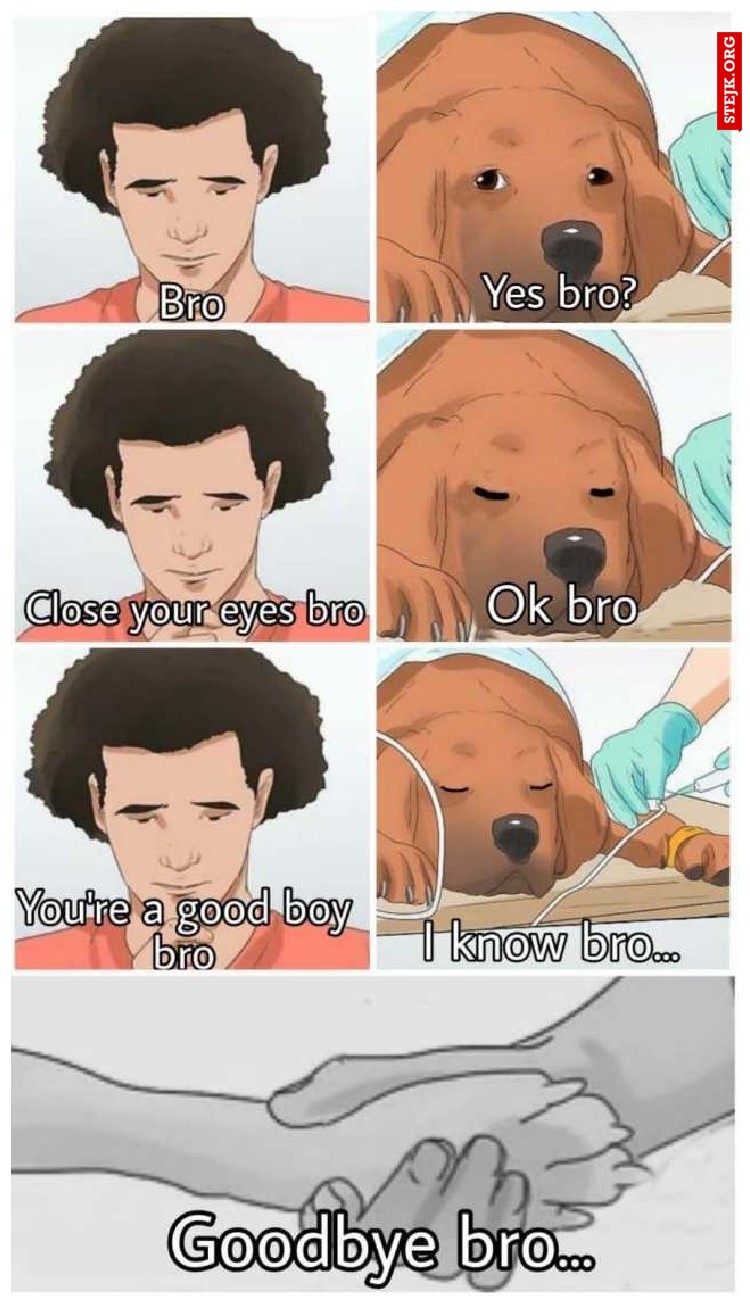 MEEM