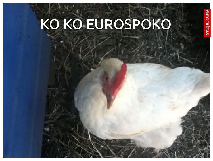 ko ko eurospoko