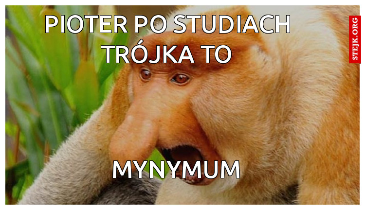 pioter po studiach trójka to