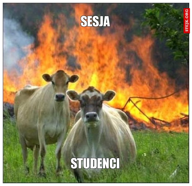 sesja.mem
