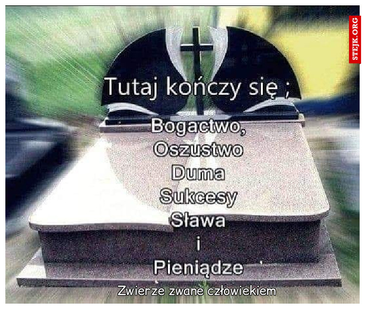 Zwierze zwane człowiekiem