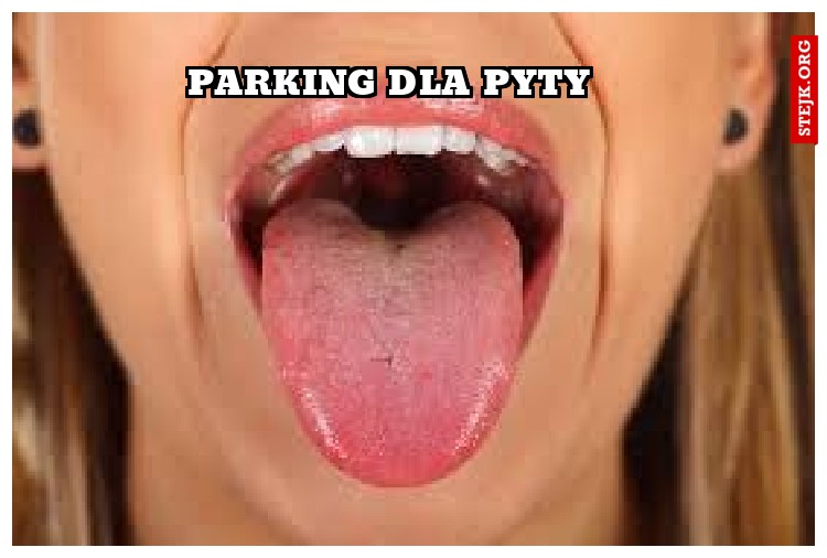 parking dla pyty