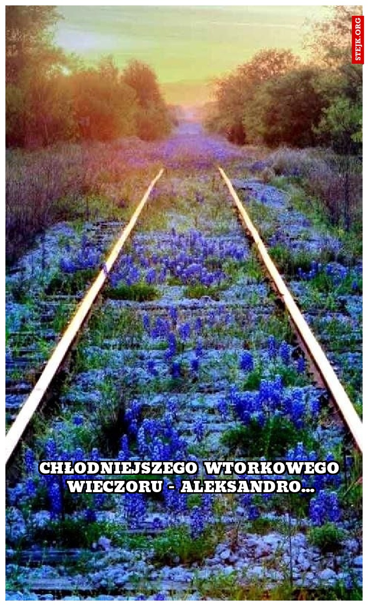 chłodniejszego wtorkowego wieczoru - aleksandro...