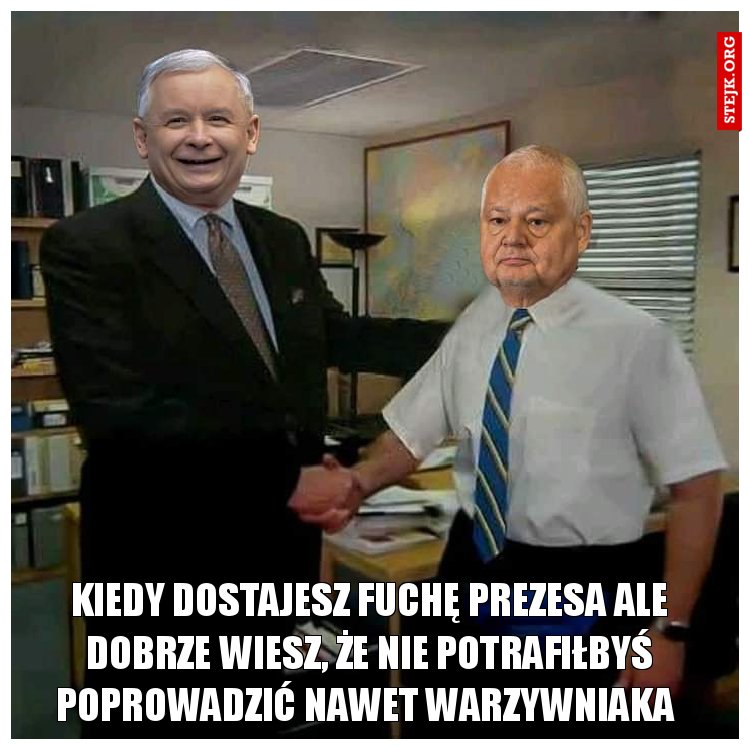 Kiedy dostajesz fuchę prezesa Ale Dobrze wiesz, że nie potrafiłbyś poprowadzić nawet warzywniaka 