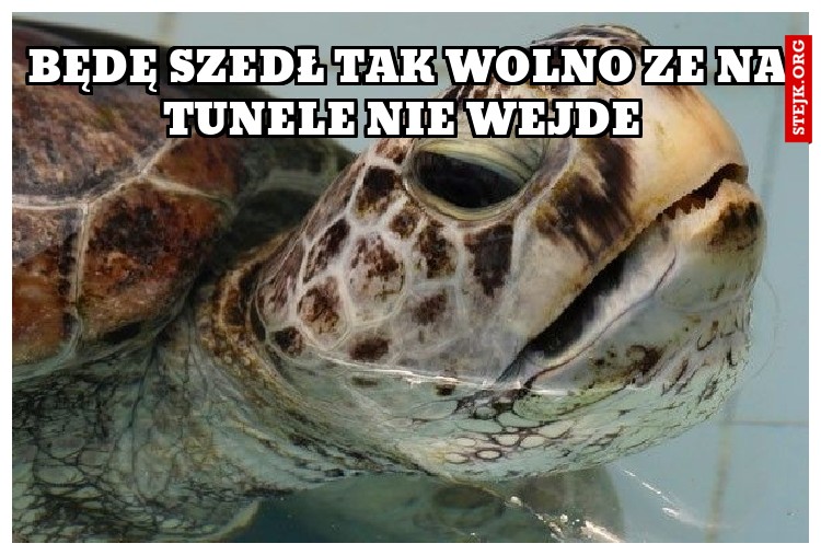 Będę szedł tak wolno ze na tunele nie wejde 