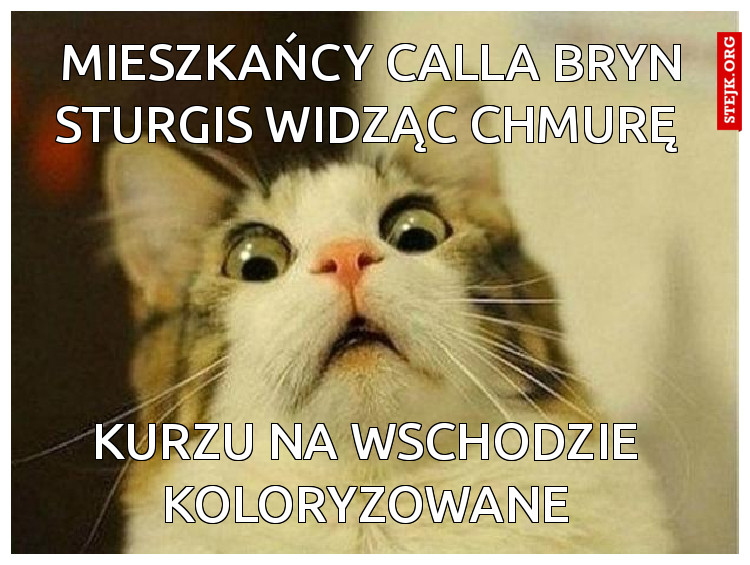 Mieszkańcy Calla Bryn Sturgis widząc chmurę 