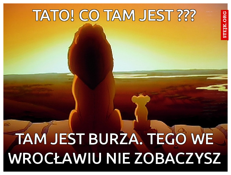 TAM JEST BURZA. TEGO WE WROCŁAWIU NIE ZOBACZYSZ